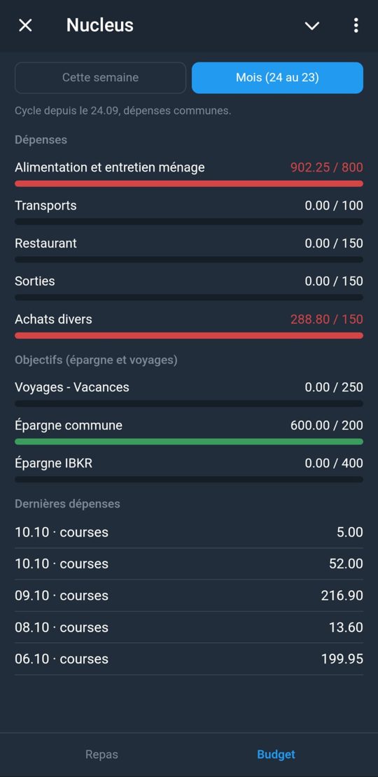 Mini-app Nucleus : suivi du budget par catégorie